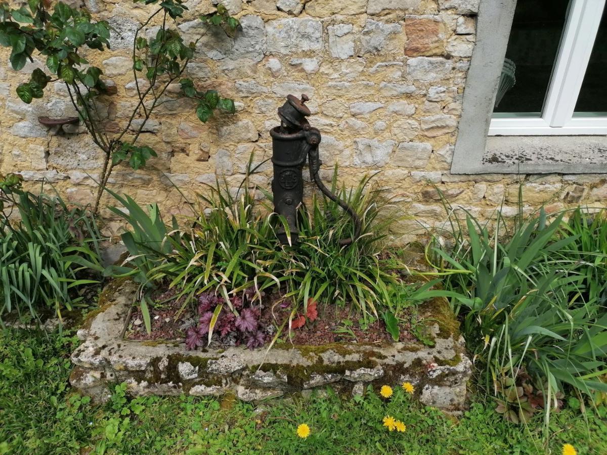 Maison Renovee En Pierres Sejour Spacieux Avec Jardin Et Terrasse Amenagee Pres Omaha Beach & Bayeux A 5Mn De La Mer Tous Commerces Commes Exterior foto